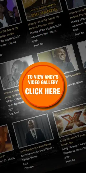 Video Gallery button