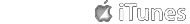 footer dividing line